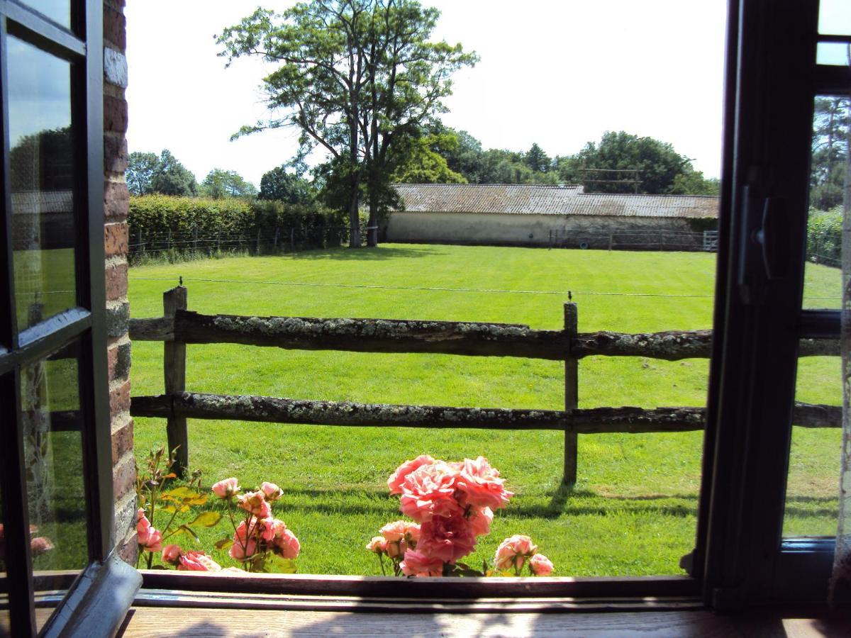 La Pastorale Bed & Breakfast La Puisaye Exterior photo